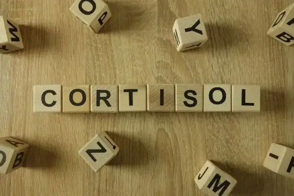 The Hidden Connection: How Stress Shapes Your Fitness and Body Composition 2 Image saying "Cortisol" and how stress Witley impacts your wellbeing and bodies shape